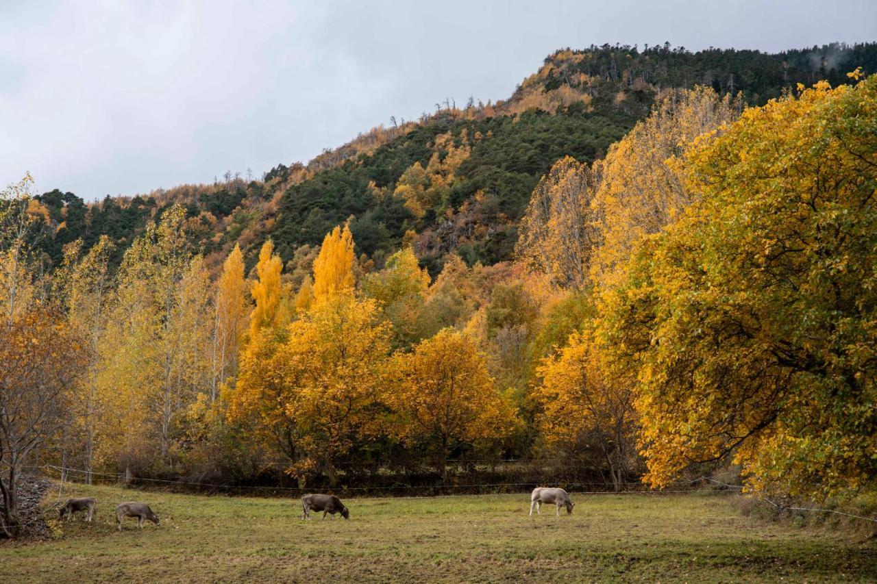 Casa Rural Besoli Areu Εξωτερικό φωτογραφία